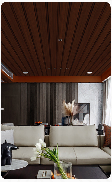 Ceiling Solutions